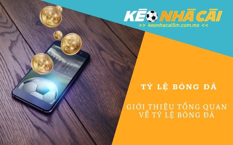 Tỷ lệ bóng đá