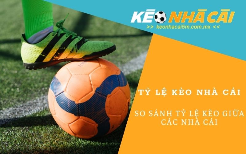 Tỷ Lệ Kèo Nhà Cái - keonhacai5m.com.mx
