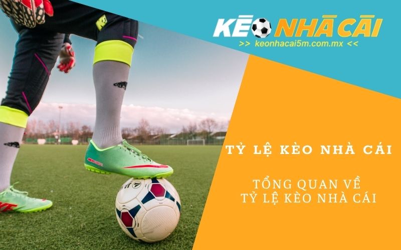 Tỷ Lệ Kèo Nhà Cái - keonhacai5m.com.mx
