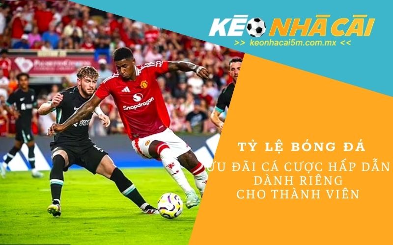 Thứ Hạng Của Ngoại Hạng Anh: Cập Nhật Bảng Xếp Hạng Mới Nhất
