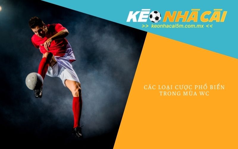Các Loại Cược Phổ Biến Trong Mùa WC