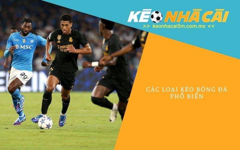 Các Loại Kèo Bóng Đá Phổ Biến