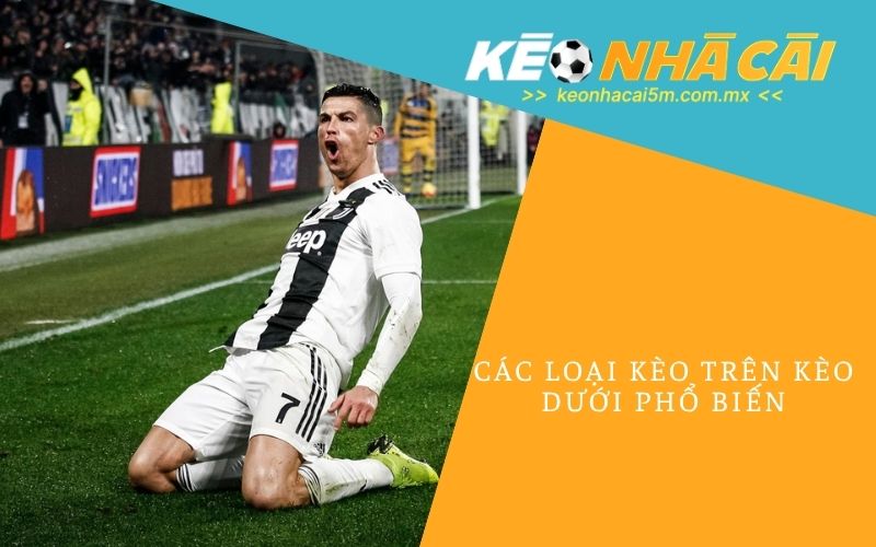 Các Loại Kèo Trên Kèo Dưới Phổ Biến