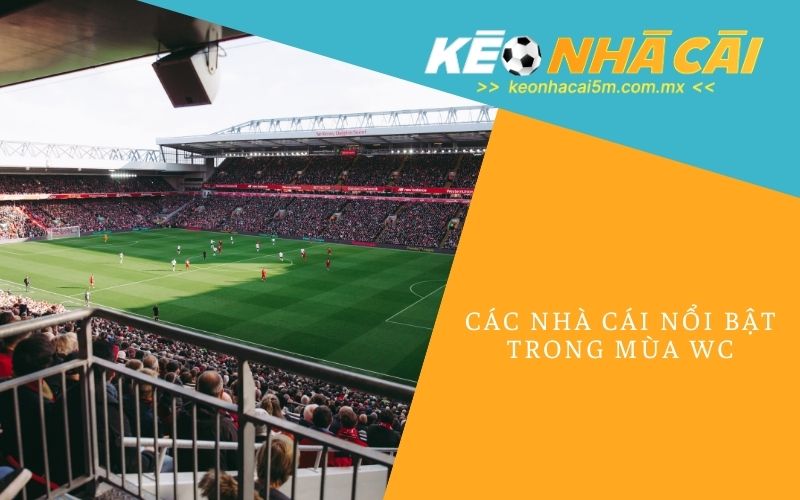 Các Nhà Cái Nổi Bật Trong Mùa WC