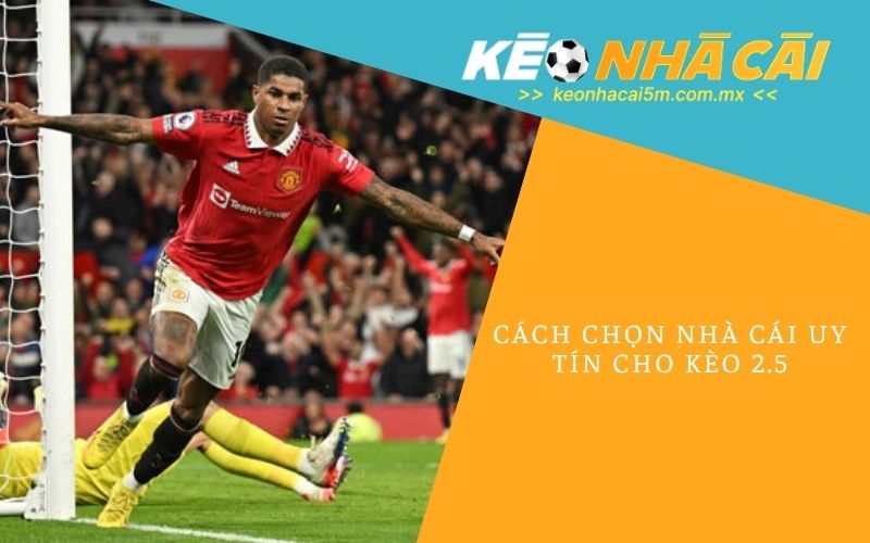 Cách Chọn Nhà Cái Uy Tín Cho Kèo 2.5