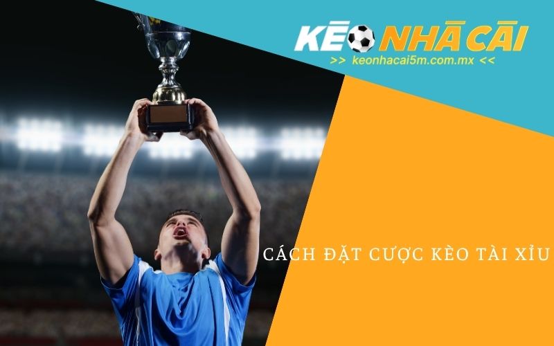 Cách Đặt Cược Kèo Tài Xỉu