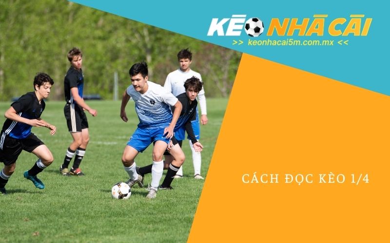 Cách Đọc Kèo 1/4