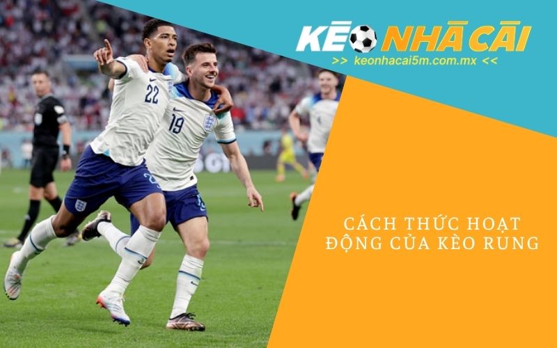 Cách Thức Hoạt Động Của Kèo Rung