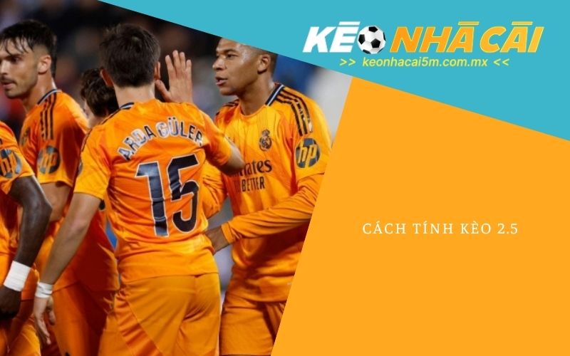 Cách Tính Kèo 2.5