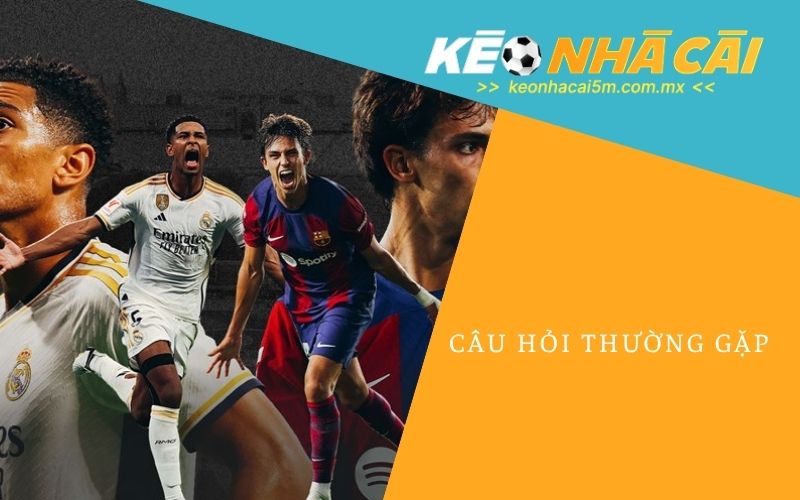 Câu Hỏi Thường Gặp