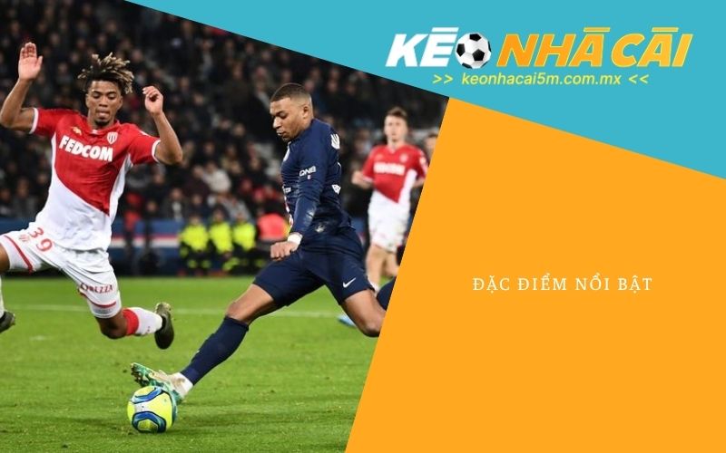 Đặc Điểm Nổi Bật