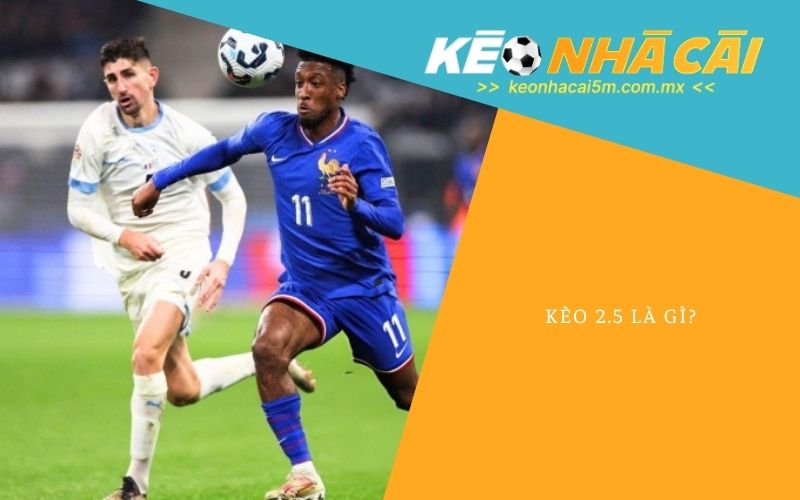 Kèo 2.5 Là Gì