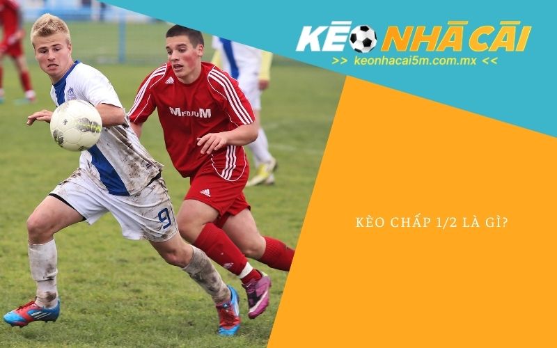 Kèo Chấp 1/2 Là Gì