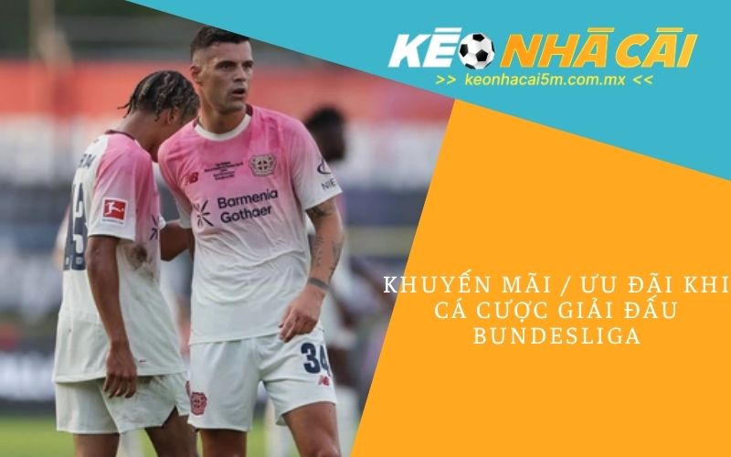 Ưu Đãi Khi Cá Cược Giải Đấu Bundesliga