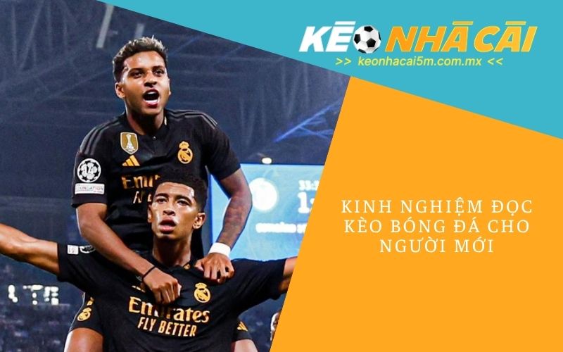 Kinh Nghiệm Đọc Kèo Bóng Đá Cho Người Mới