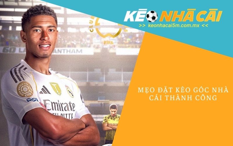 Mẹo Đặt Kèo Góc Nhà Cái Thành Công