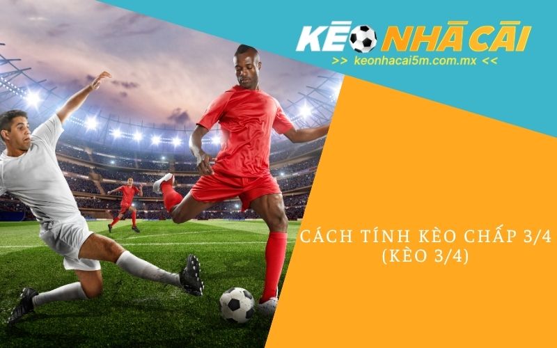 Những Lợi Ích Khi Chọn Kèo 1/4