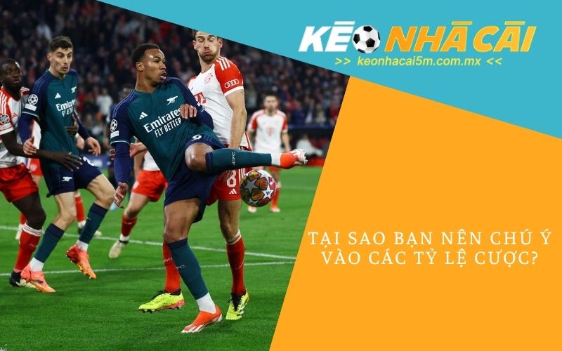 Tại Sao Bạn Nên Chú Ý Vào Các Tỷ Lệ Cược