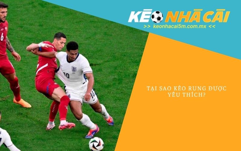 Tại Sao Kèo Rung Được Yêu Thích
