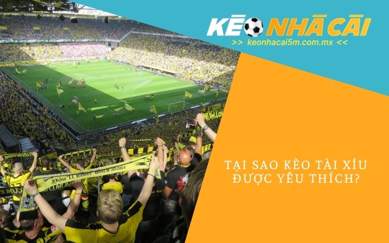 Tại Sao Kèo Tài Xỉu Được Yêu Thích