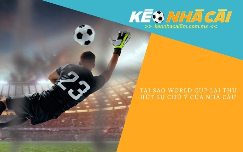 Tại Sao World Cup Lại Thu Hút Sự Chú Ý Của Nhà Cái