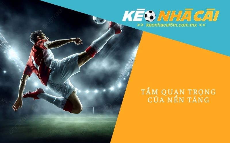 Tầm Quan Trọng Của Nền Tảng