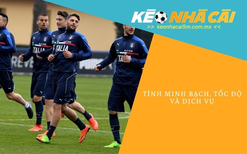 Tính Minh Bạch, Tốc Độ Và Dịch Vụ