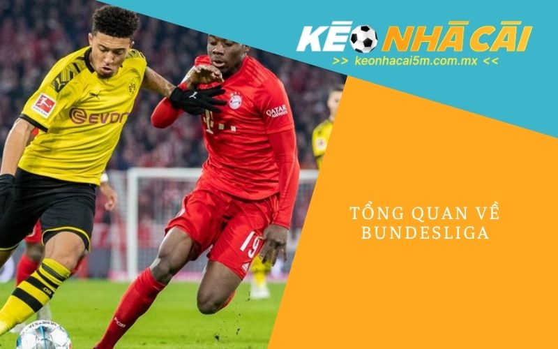 Tổng Quan Về Bundesliga