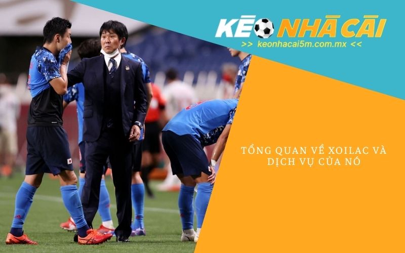 Tổng Quan Về Xoilac Và Dịch Vụ Của Nó